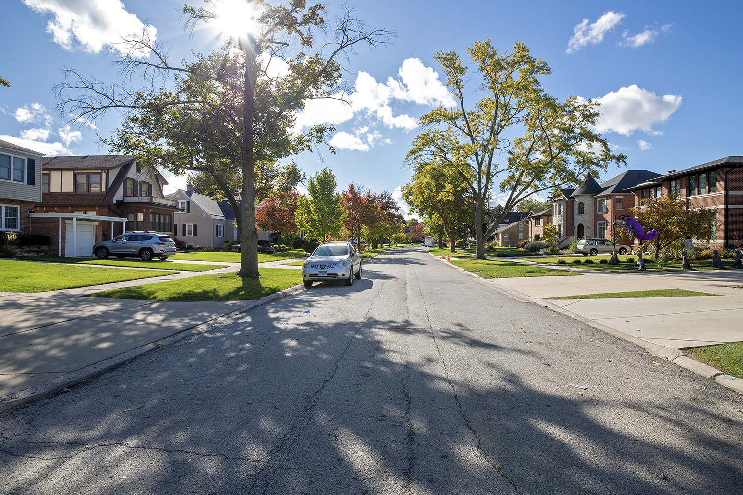 1201 Grove Avenue, Park Ridge, IL 60068