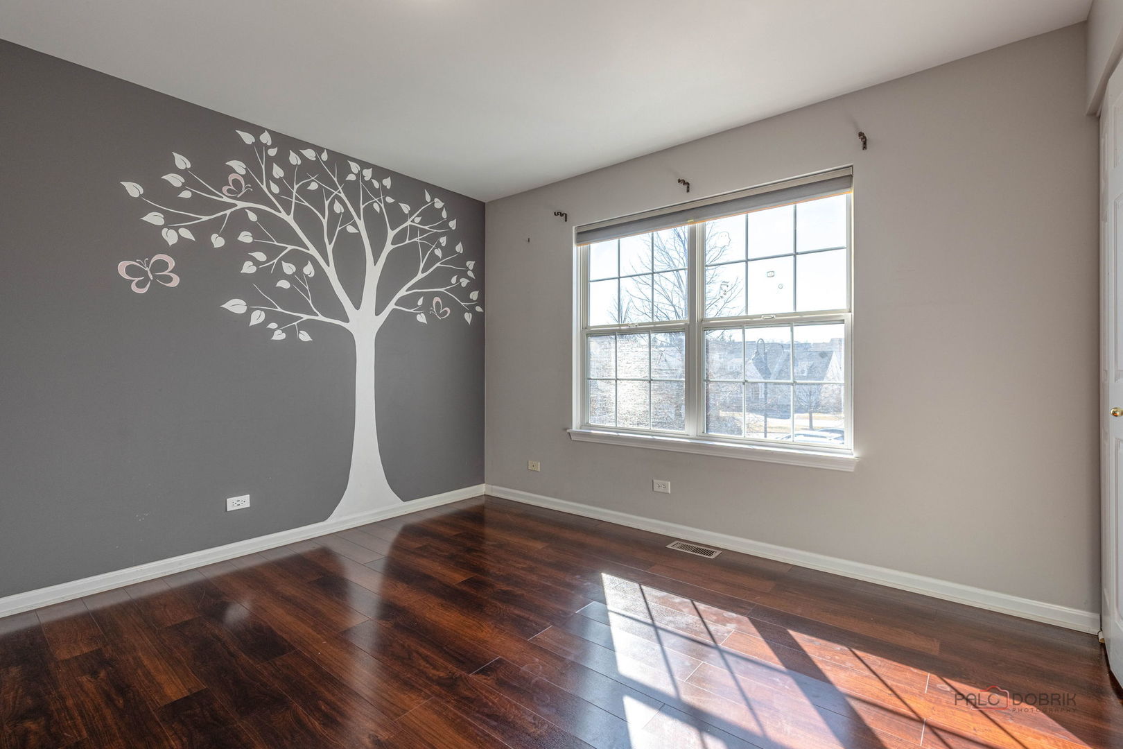 874 Savoy Court, Lake Zurich, IL 60047