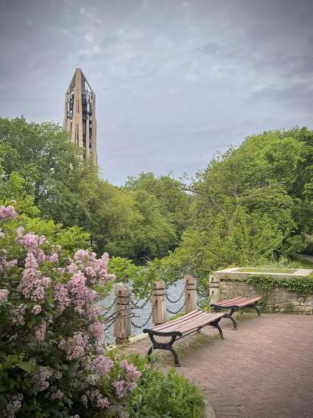 Naperville, IL 60540