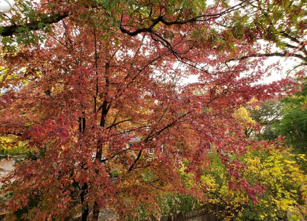 9215 S 83rd Avenue, Hickory Hills, IL 60457