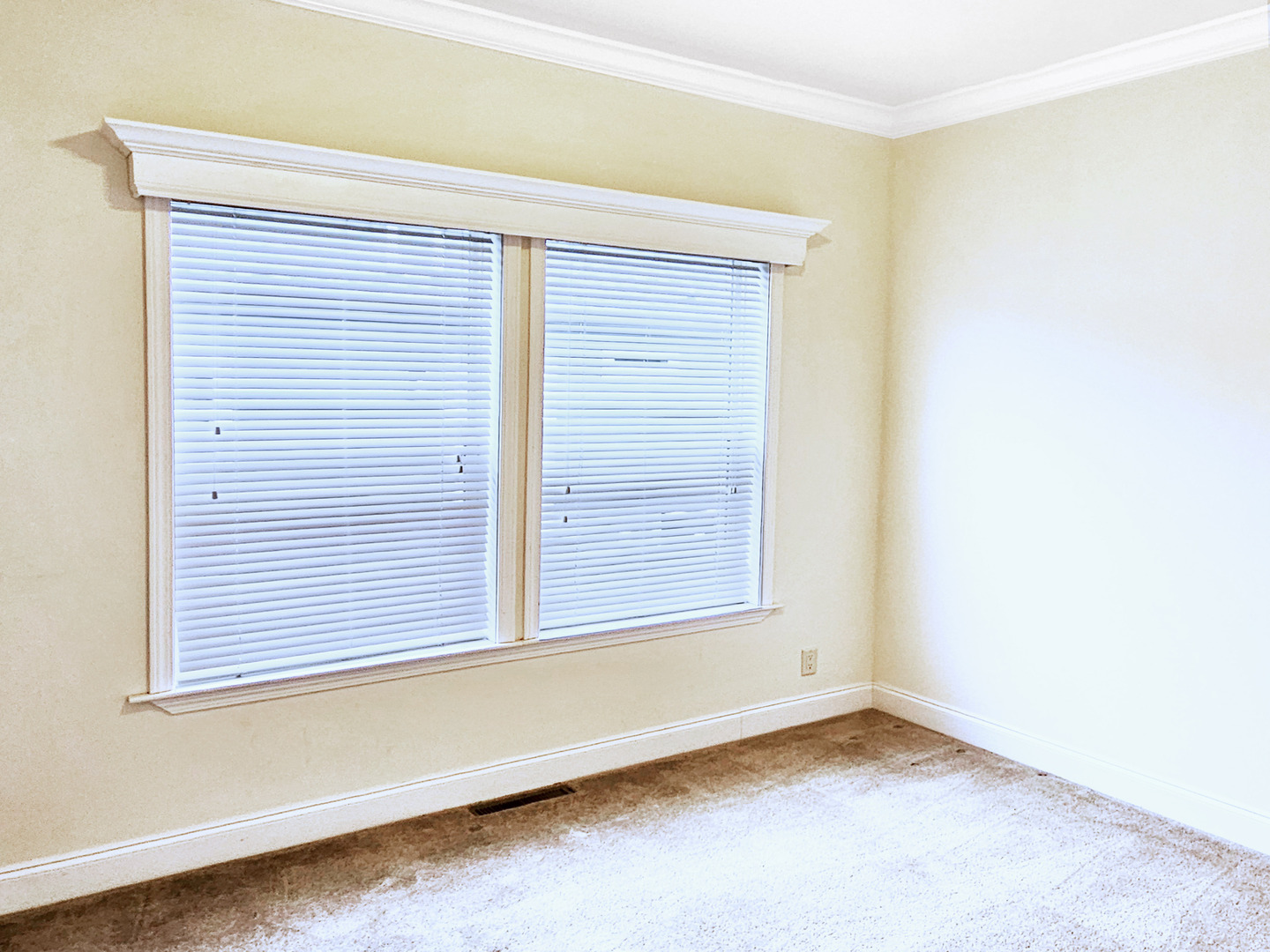 1521 Meadow View Lane, Grayslake, IL 60030