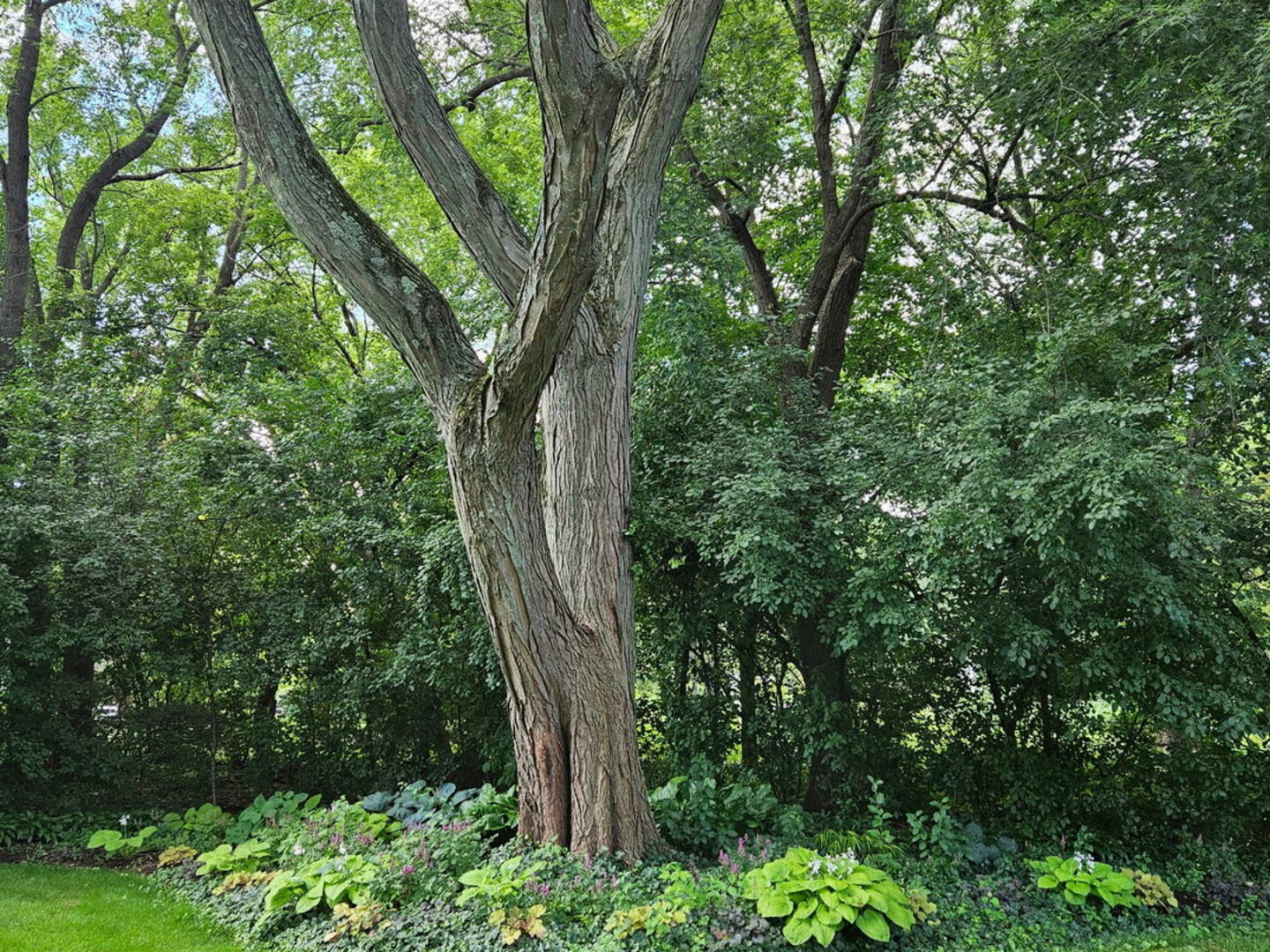 38 Ferndale Road, Deer Park, IL 60010