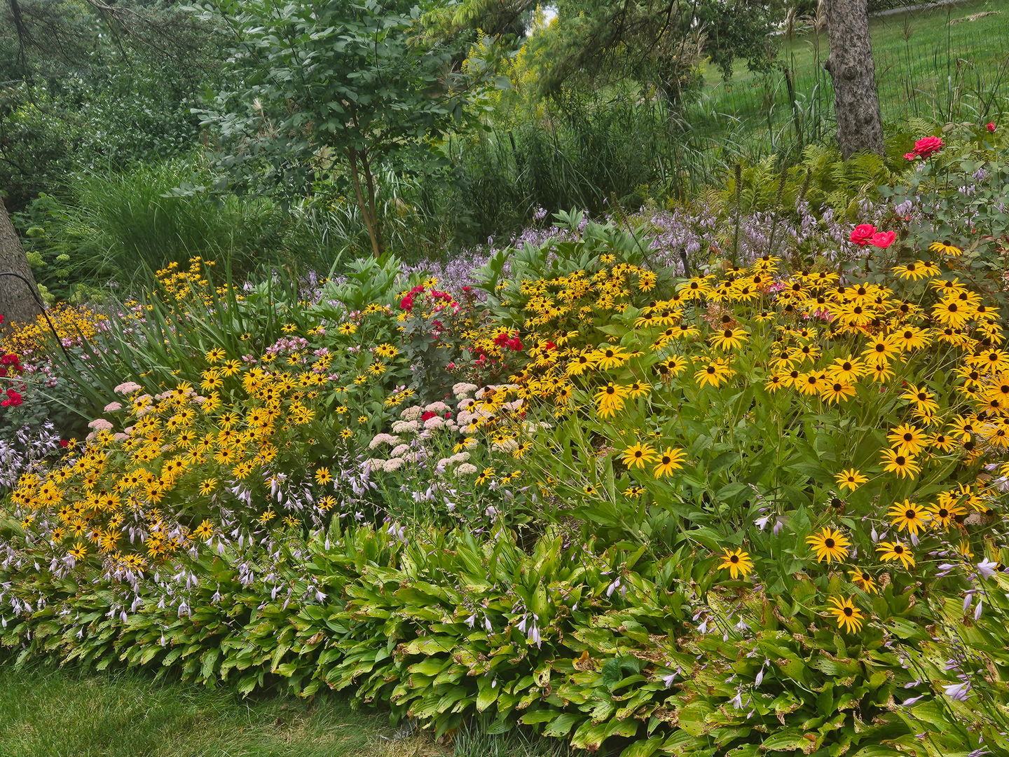 38 Ferndale Road, Deer Park, IL 60010