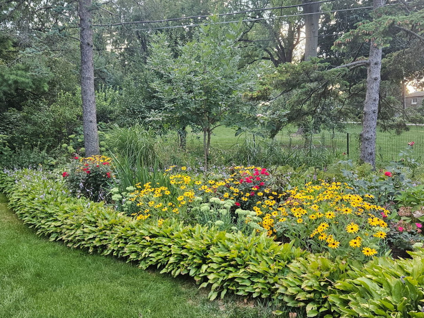 38 Ferndale Road, Deer Park, IL 60010