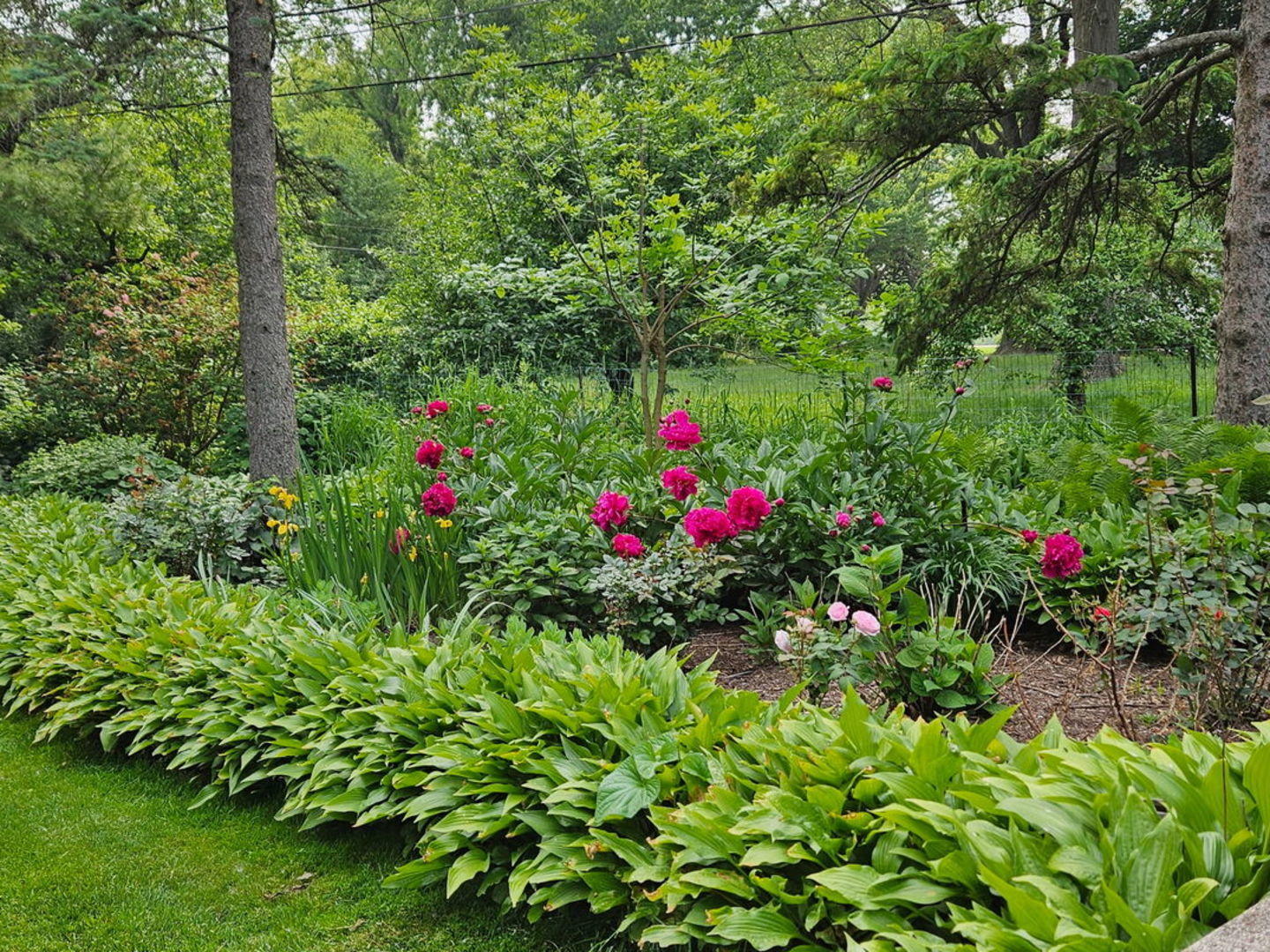 38 Ferndale Road, Deer Park, IL 60010