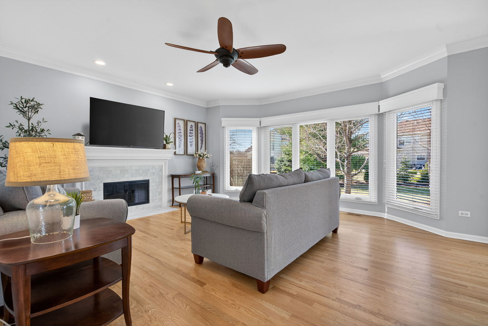 12542 Larkspur Lane, Plainfield, IL 60585