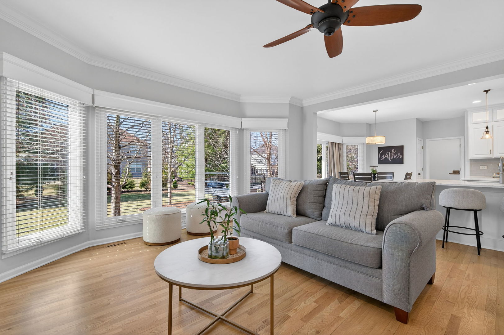 12542 Larkspur Lane, Plainfield, IL 60585