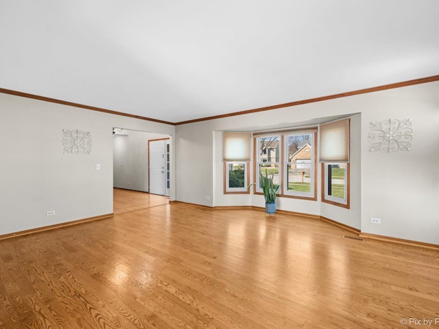 113 S Windham Lane, Bloomingdale, IL 60108