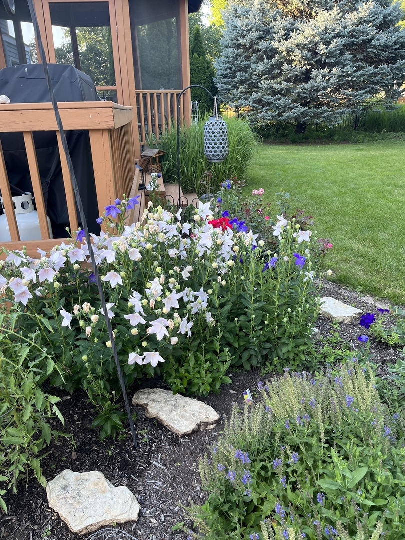 1524 John Street, Sycamore, IL 60178