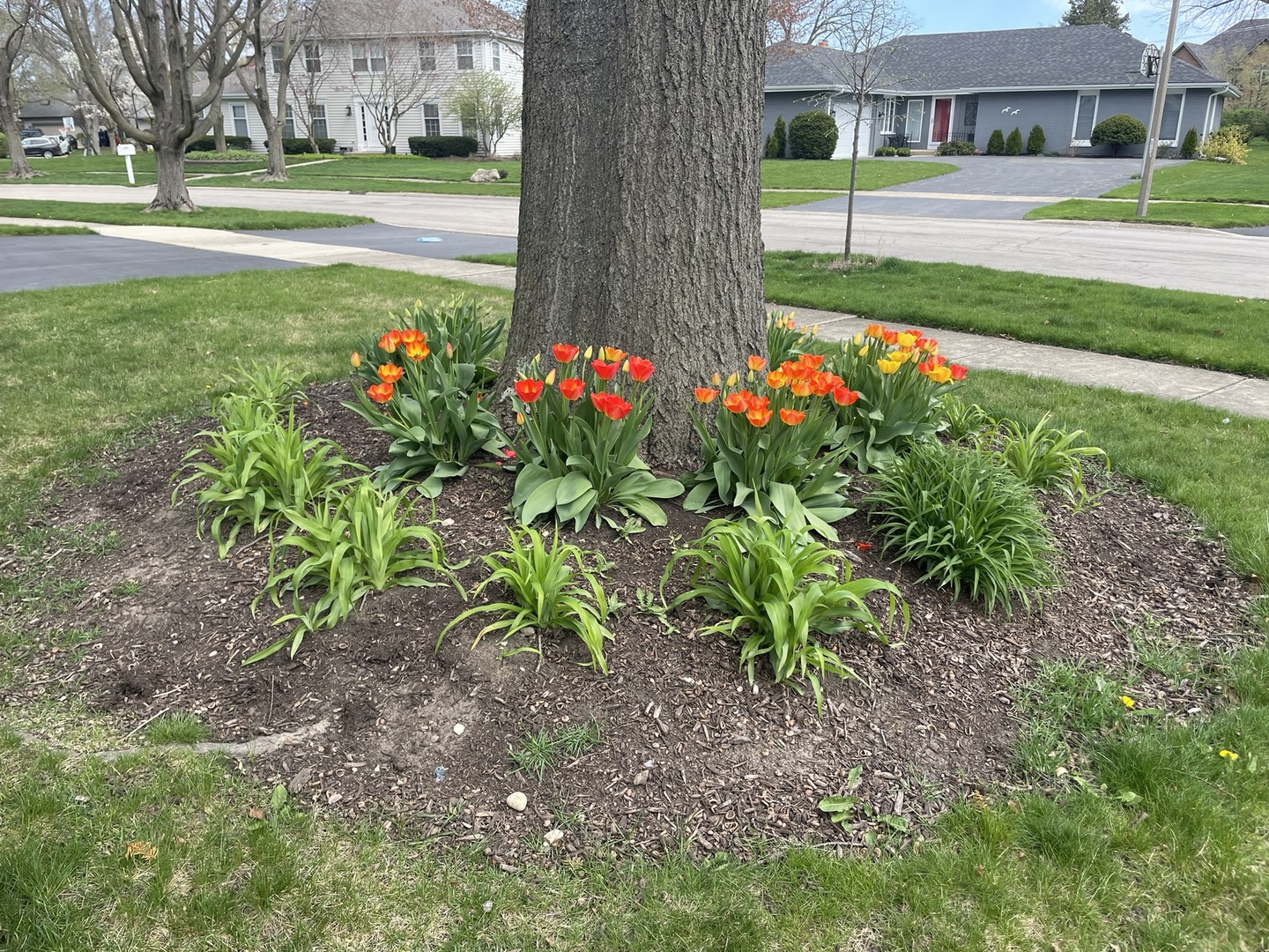 1256 Whitingham Circle, Naperville, IL 60540