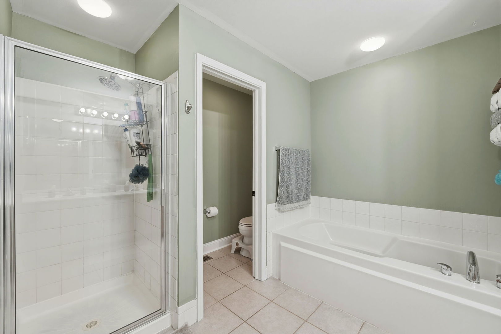 1582 Arlington Street, Bolingbrook, IL 60490