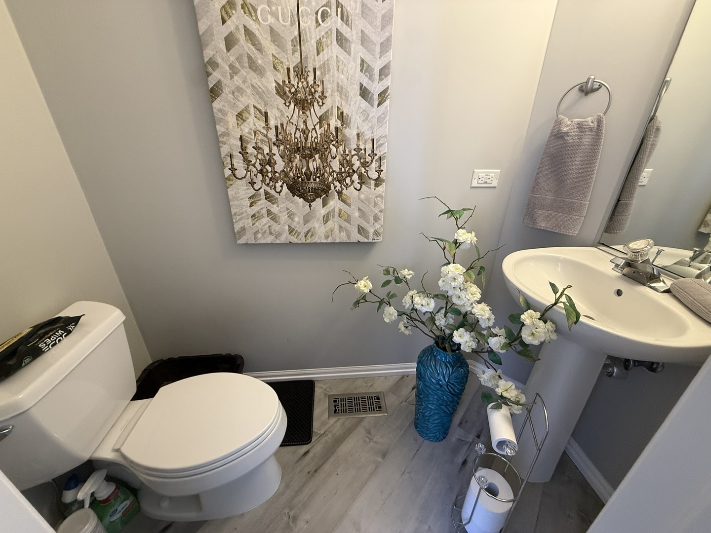 1139 River Bend Lane, Lisle, IL 60532