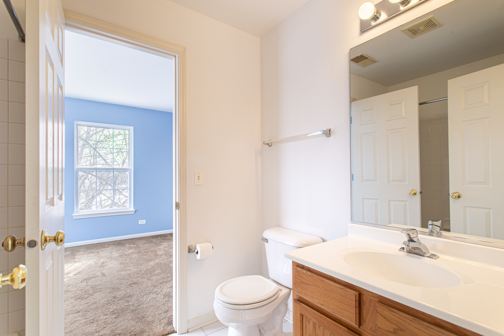 860 Amelia Court, Grayslake, IL 60030