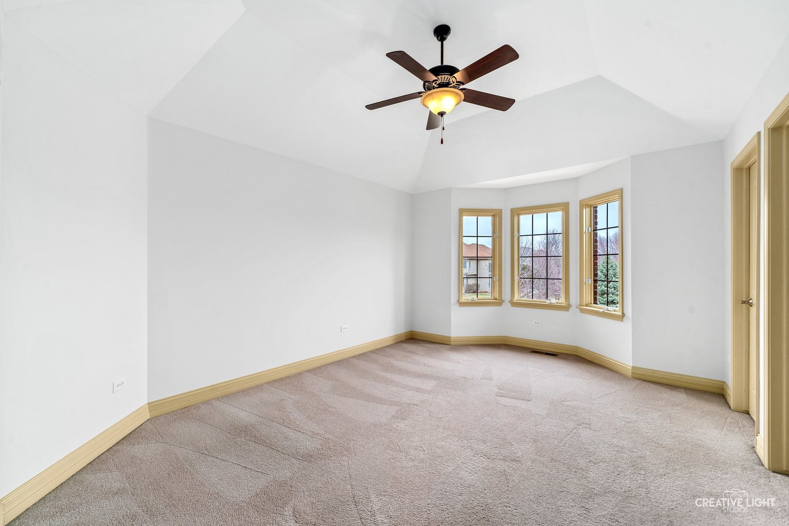 1887 Snead Street, Bolingbrook, IL 60490