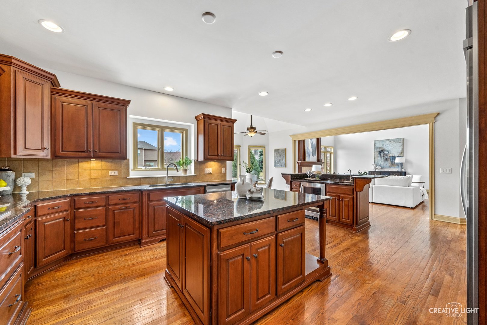 1887 Snead Street, Bolingbrook, IL 60490