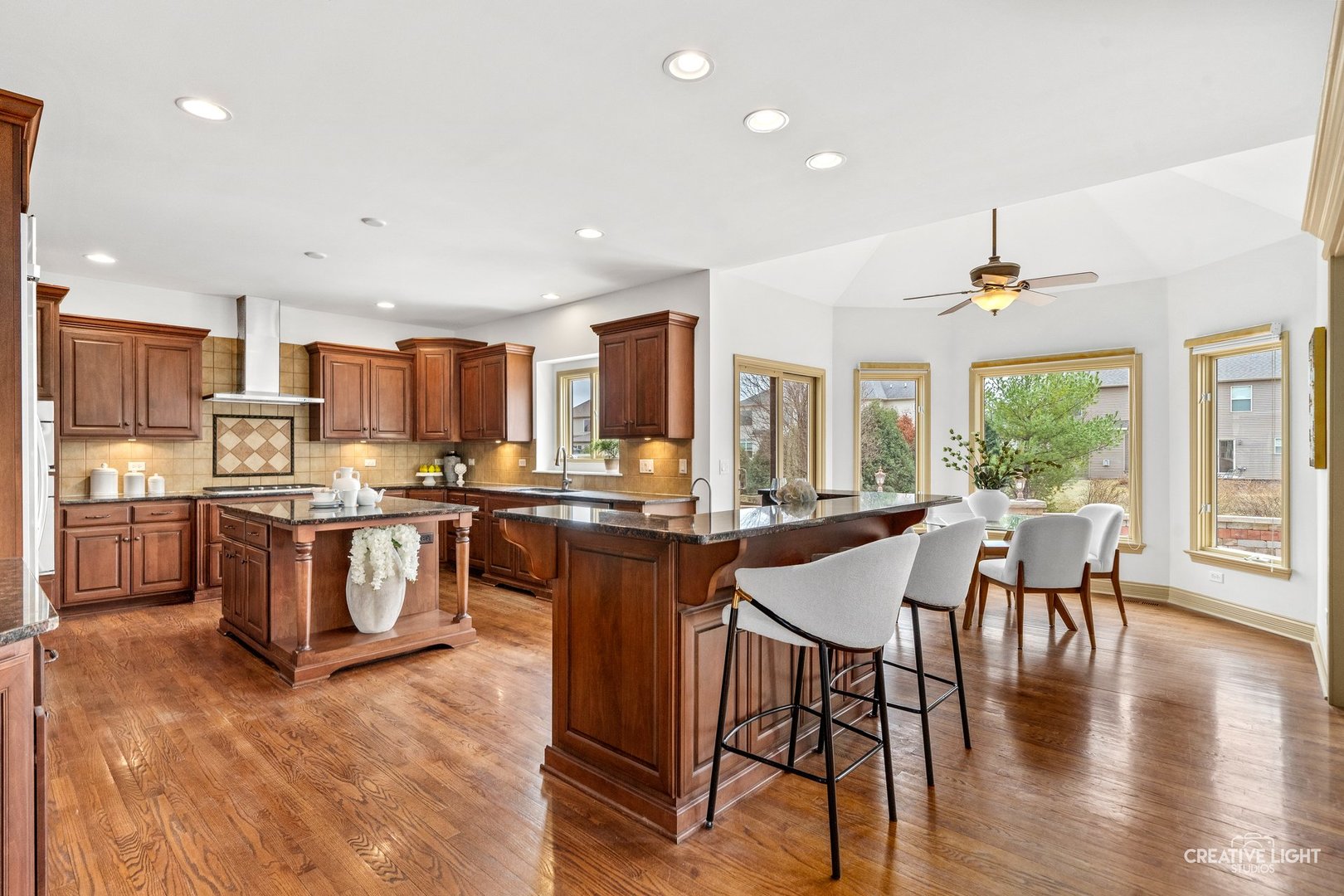 1887 Snead Street, Bolingbrook, IL 60490