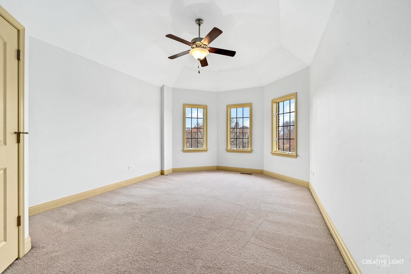 1887 Snead Street, Bolingbrook, IL 60490