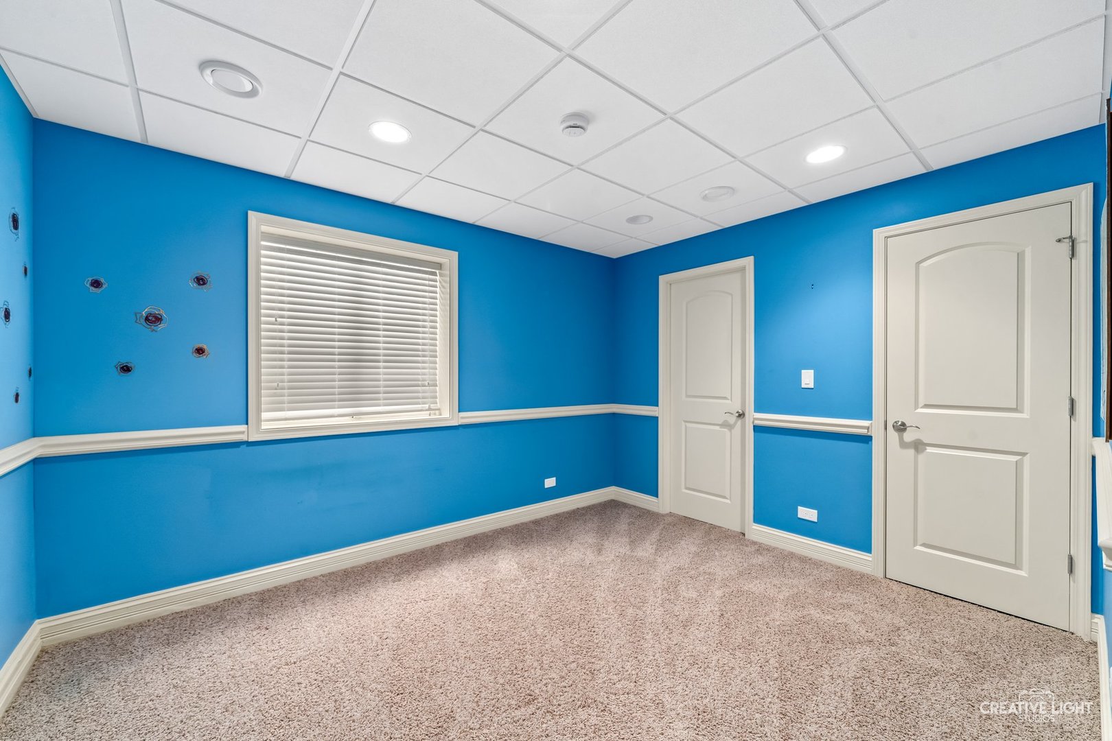 1887 Snead Street, Bolingbrook, IL 60490