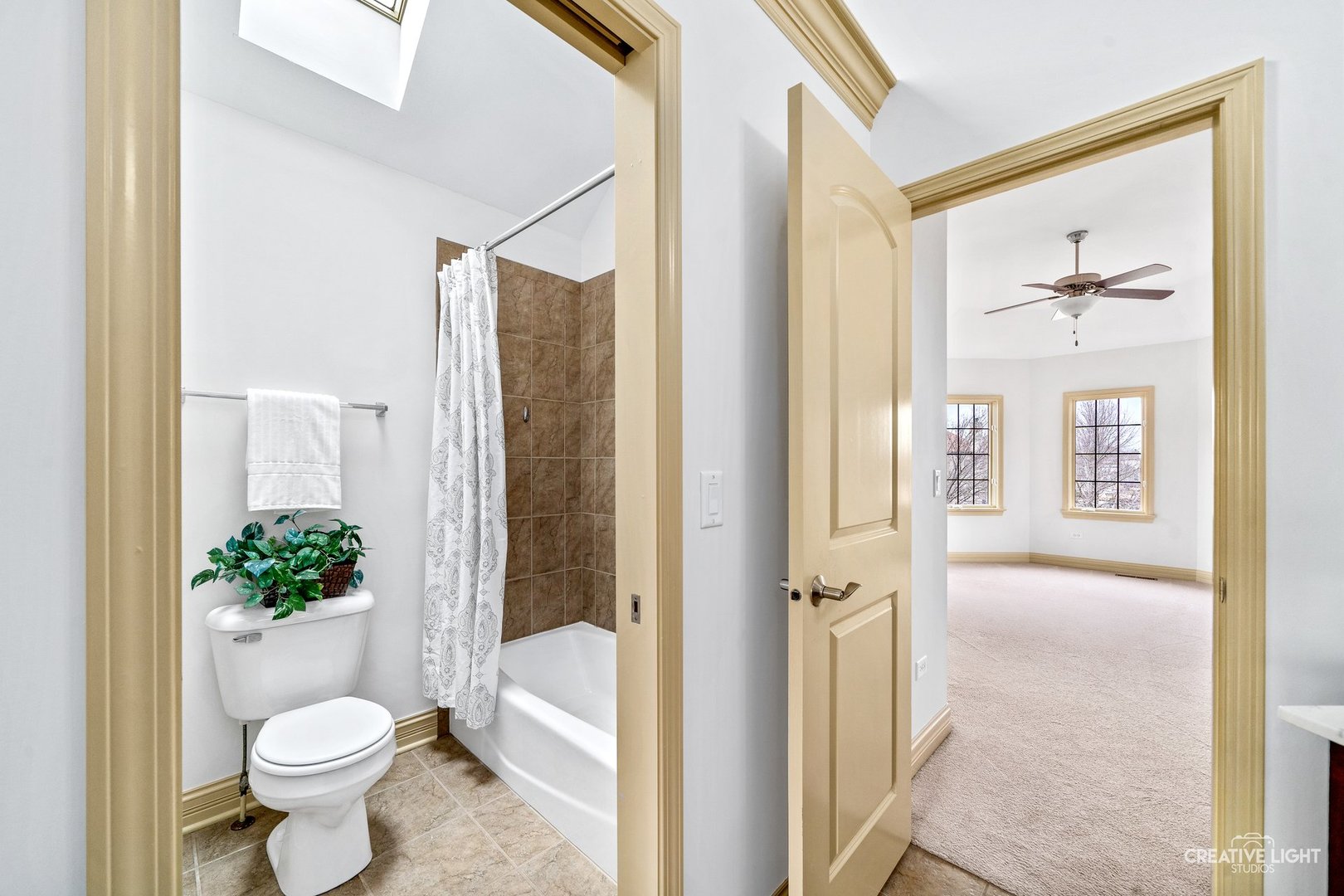 1887 Snead Street, Bolingbrook, IL 60490