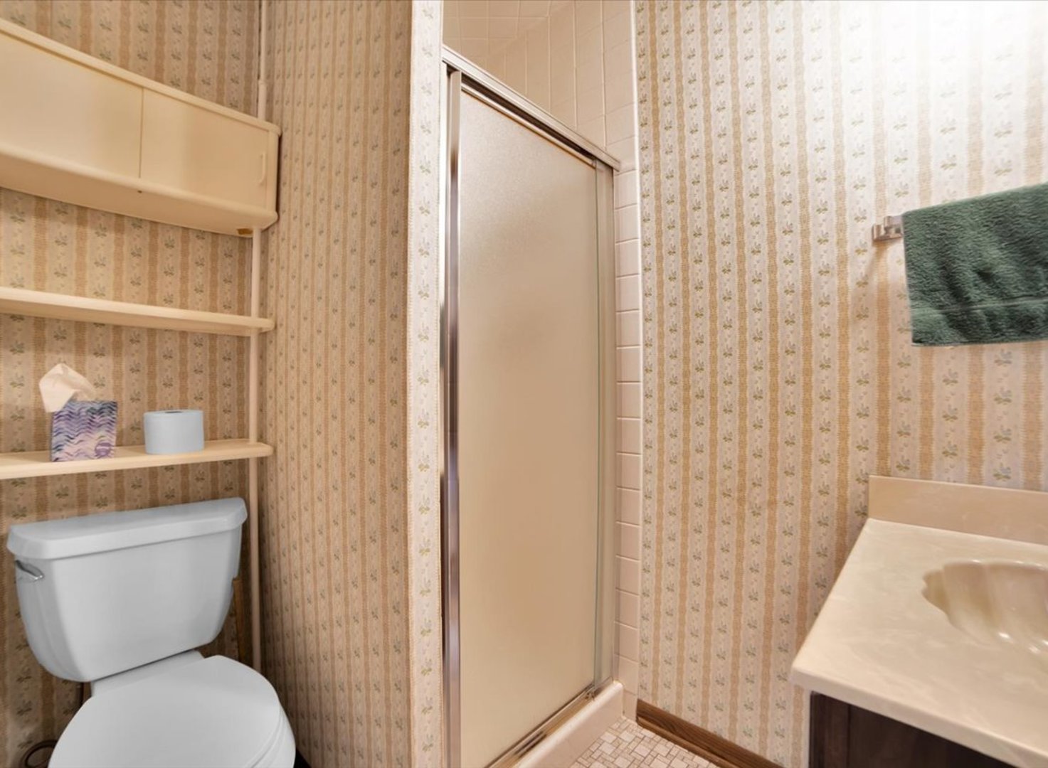 1102 E Ardyce Lane, Mount Prospect, IL 60056