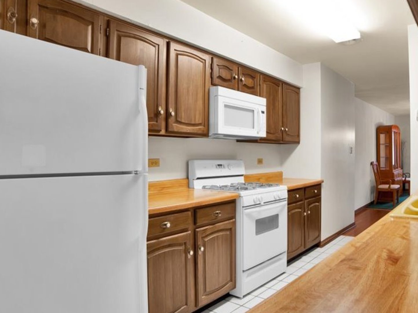 1102 E Ardyce Lane, Mount Prospect, IL 60056