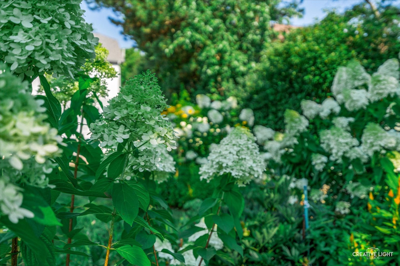 1508 Terrance Drive, Naperville, IL 60565