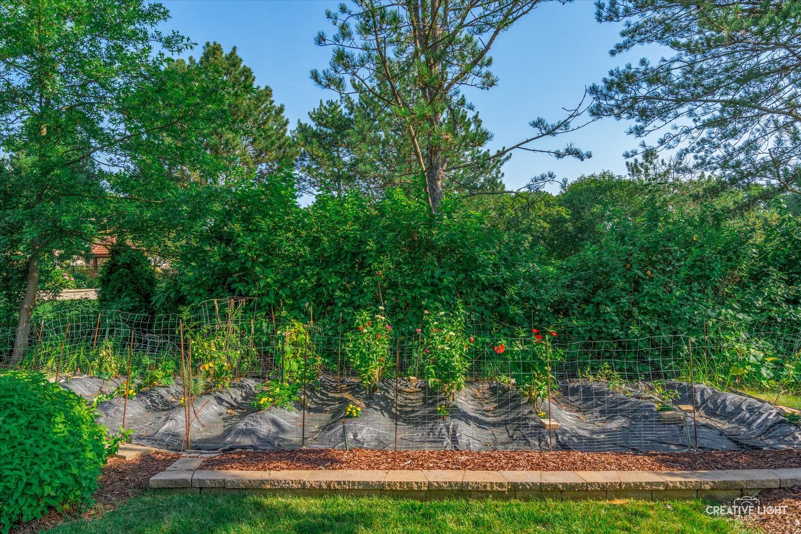 1508 Terrance Drive, Naperville, IL 60565