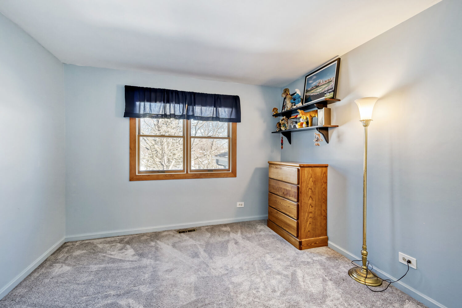 205 Cambridge Lane, Bloomingdale, IL 60108