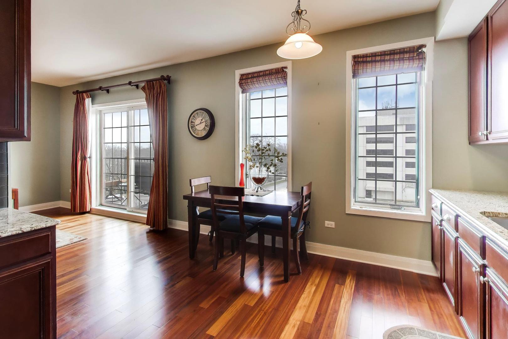 100 S Emerson Street #507, Mount Prospect, IL 60056