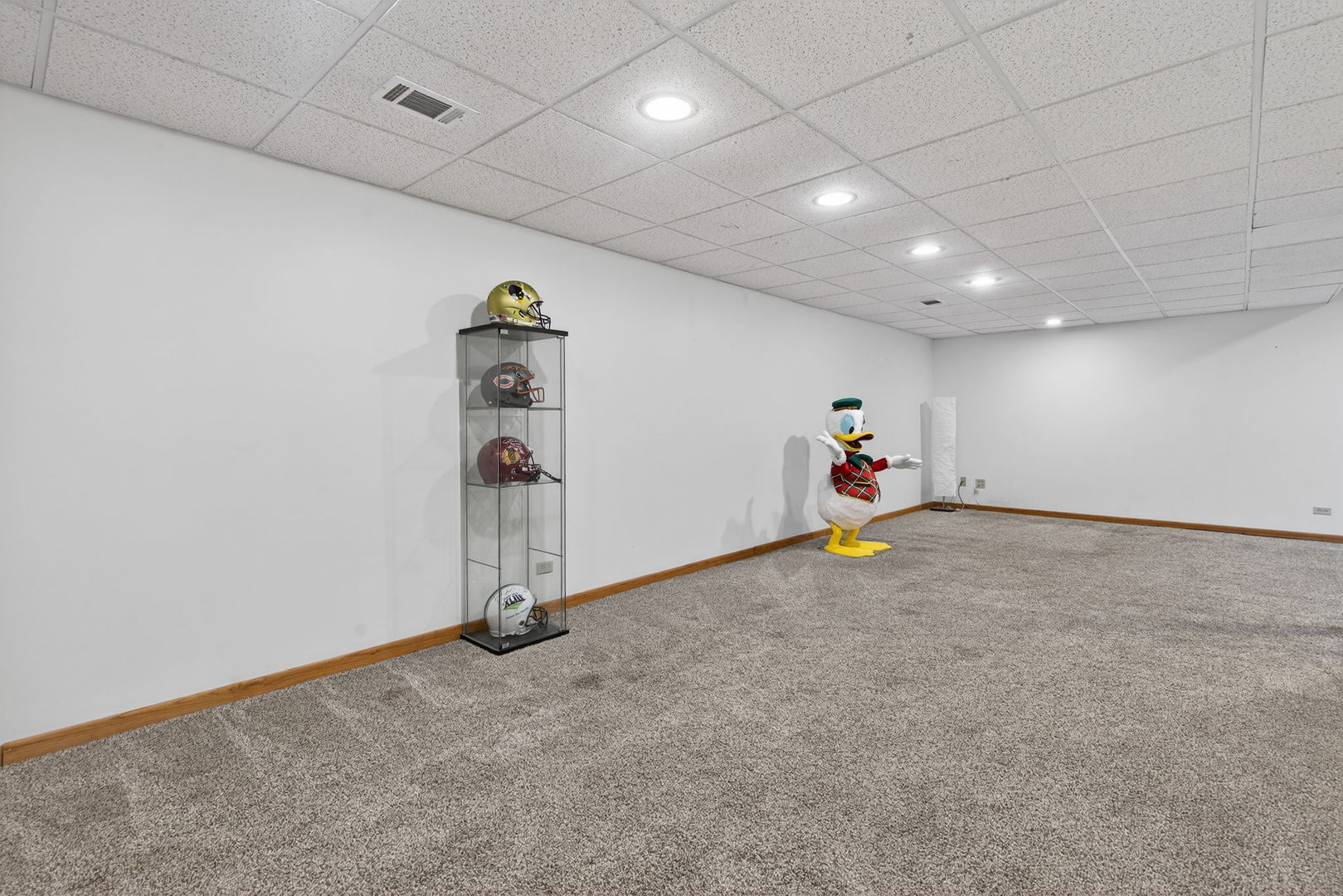 5312 Floralwood Court, Plainfield, IL 60586