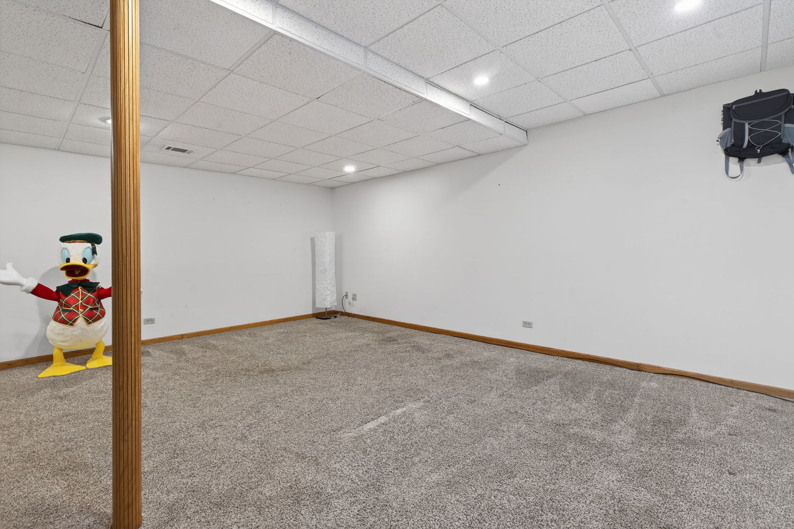 5312 Floralwood Court, Plainfield, IL 60586