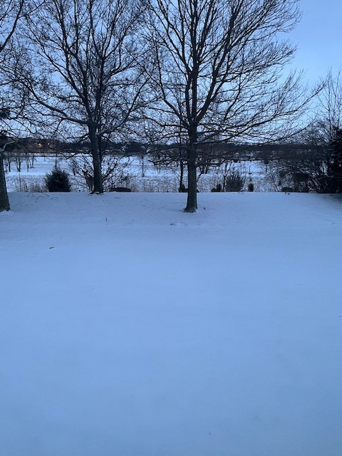 351 Campion Drive, Hampshire, IL 60140