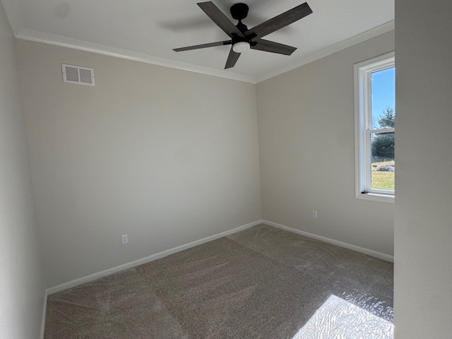 351 Campion Drive, Hampshire, IL 60140