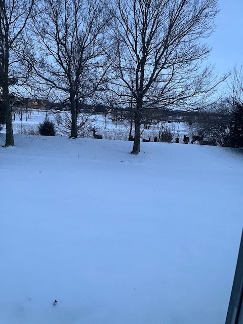 351 Campion Drive, Hampshire, IL 60140