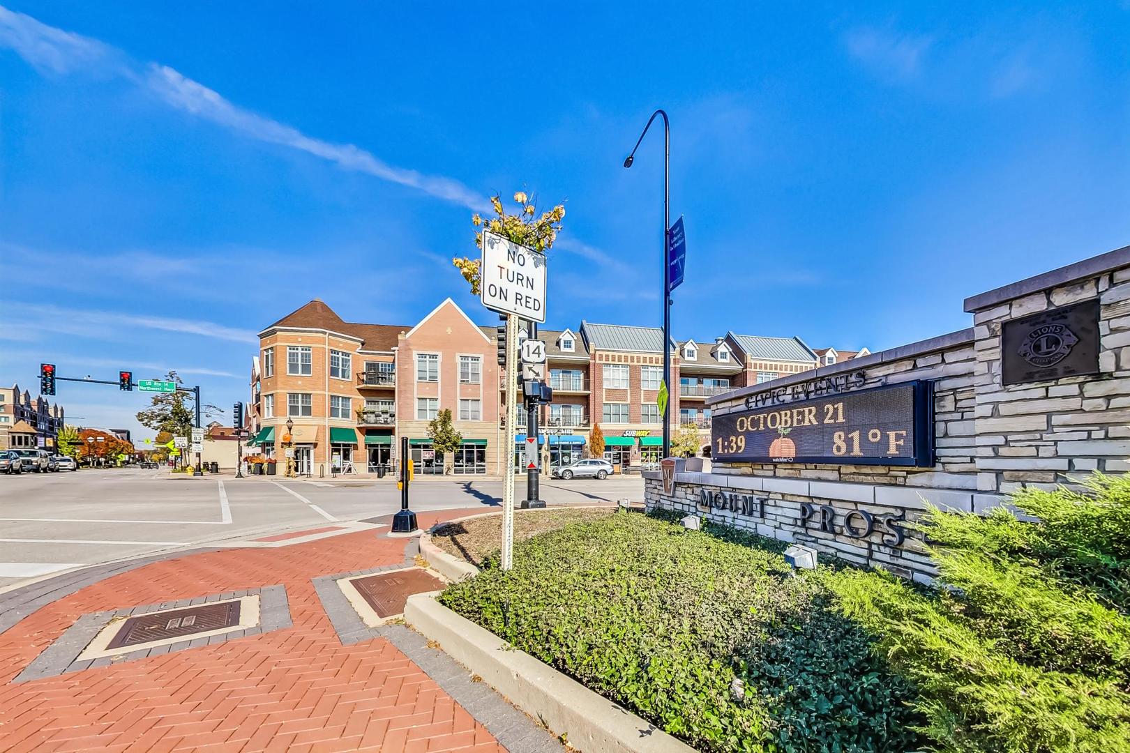 220 University Drive #220, Mount Prospect, IL 60056