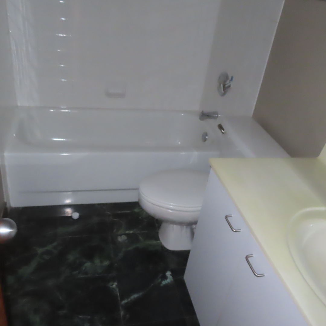 601 Linden Place #311, Evanston, IL 60202