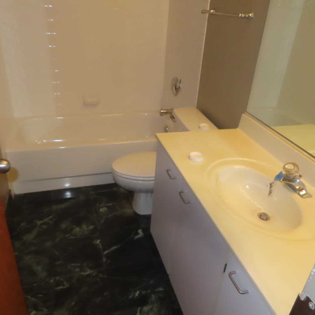 601 Linden Place #311, Evanston, IL 60202