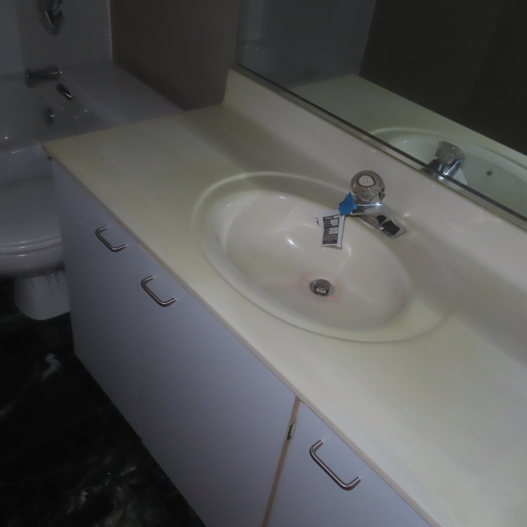 601 Linden Place #311, Evanston, IL 60202