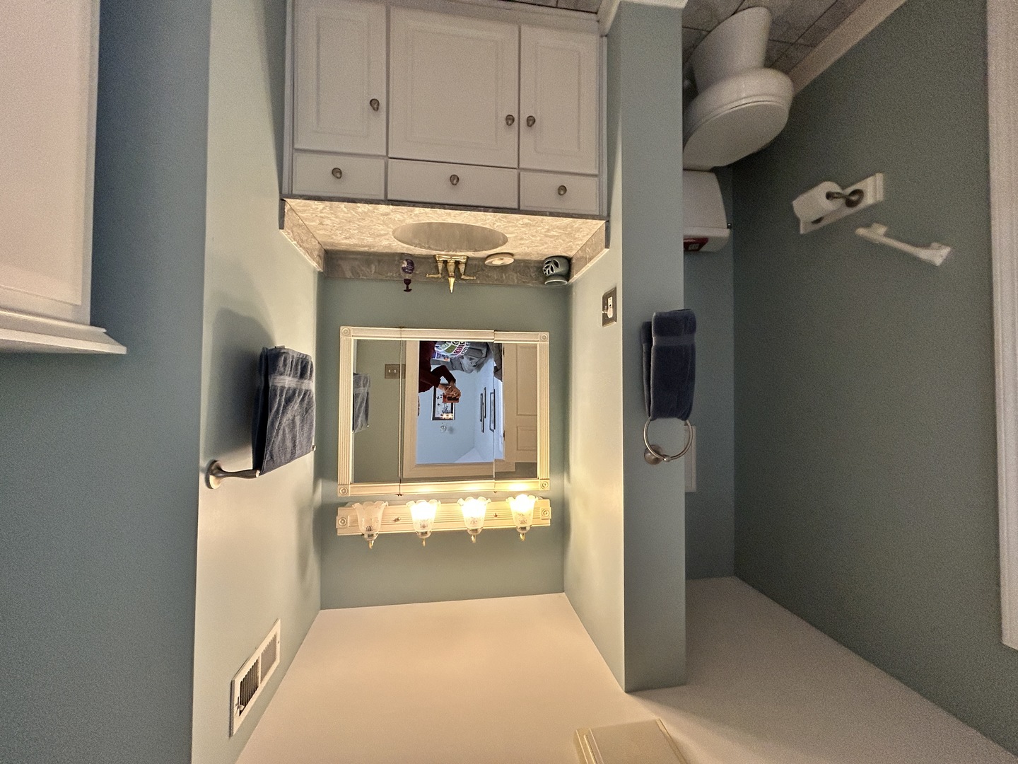 171 E Cayuga Avenue, Elmhurst, IL 60126