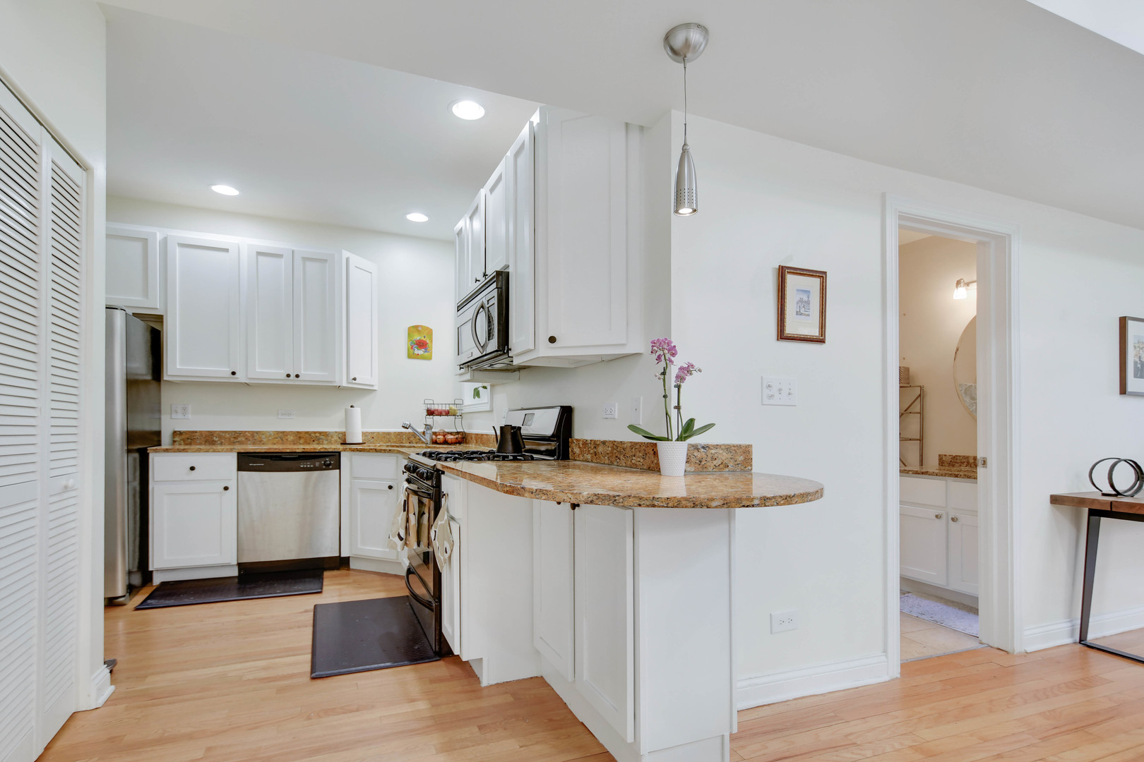 1009 N Oakley Boulevard #2W, Chicago, IL 60622