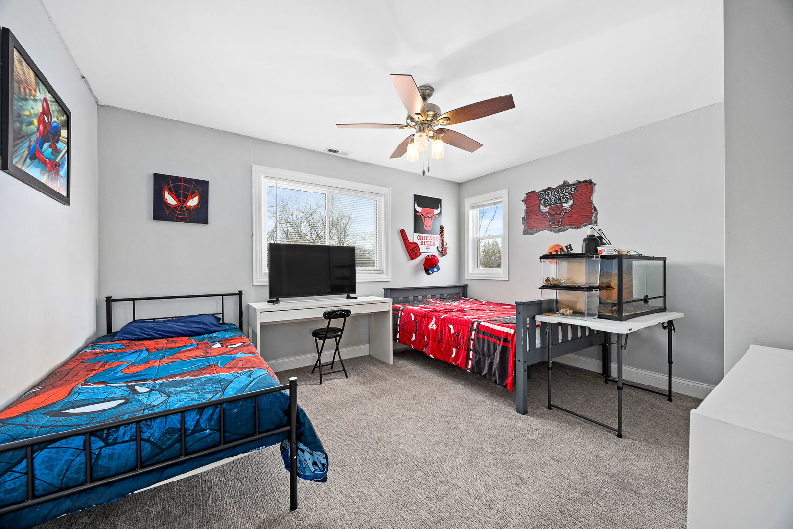 22511 S Deal Avenue, Channahon, IL 60410