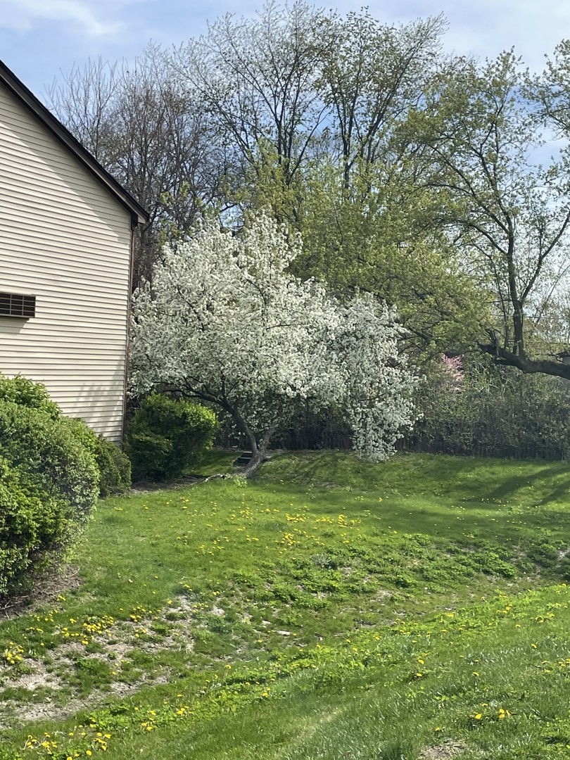 33561 N Royal Oak Lane #209, Grayslake, IL 60030