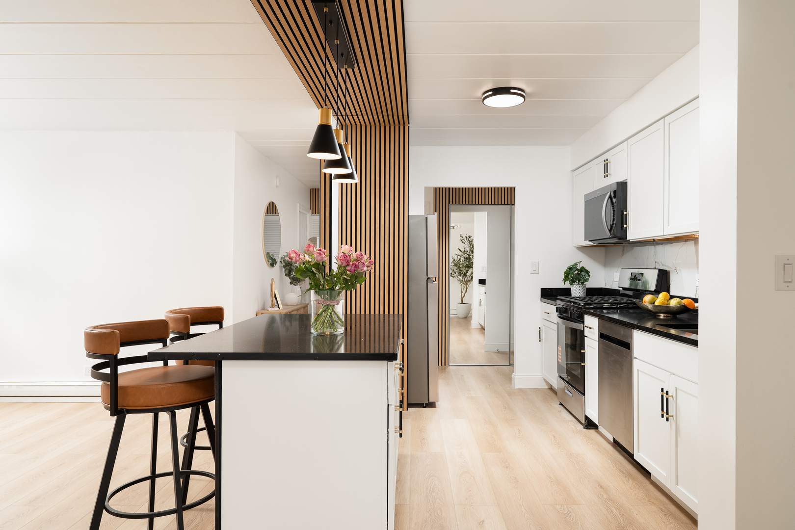 1001 N Mill Street #203, Naperville, IL 60563