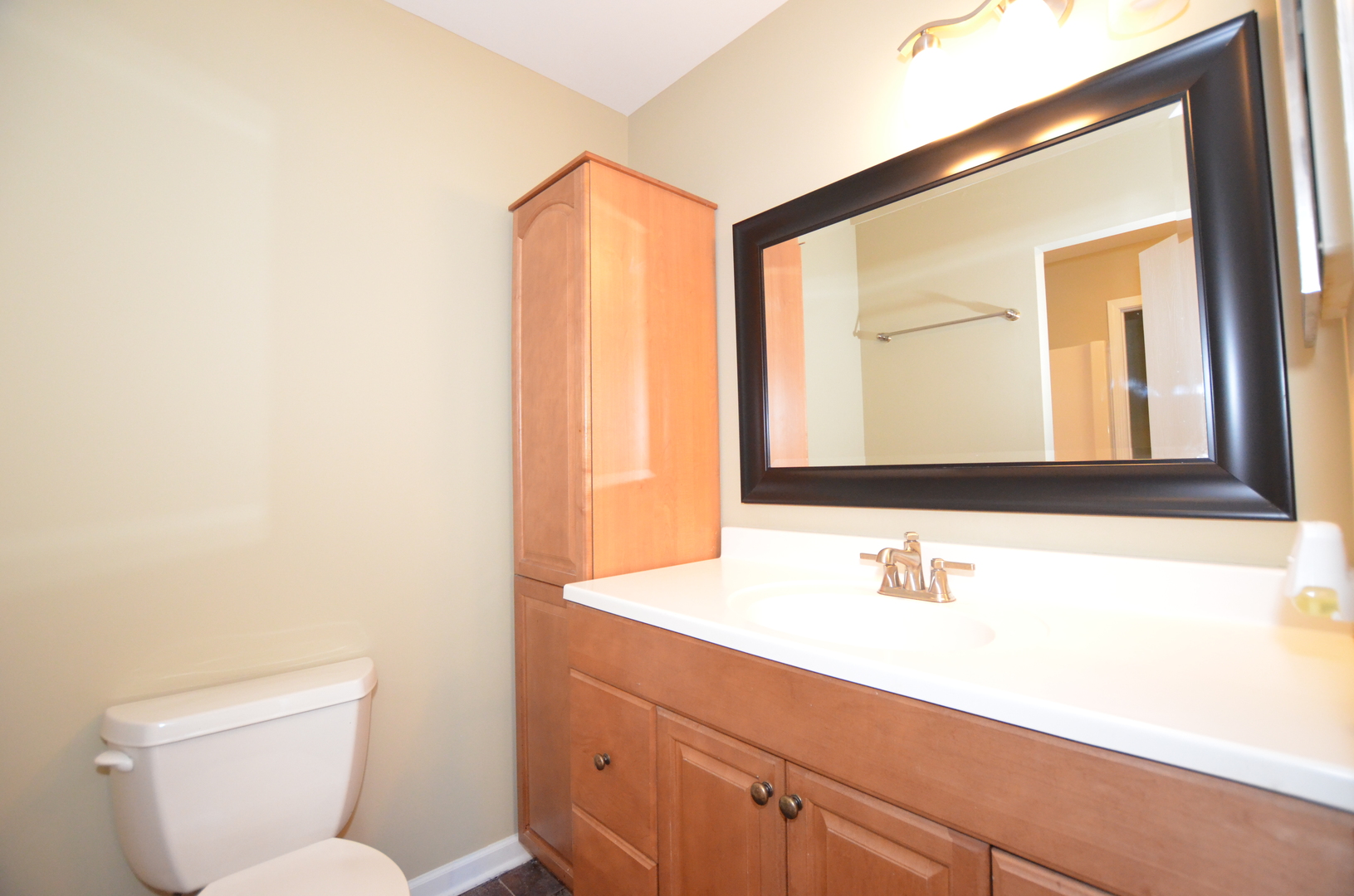 387 Amy Court, Naperville, IL 60565