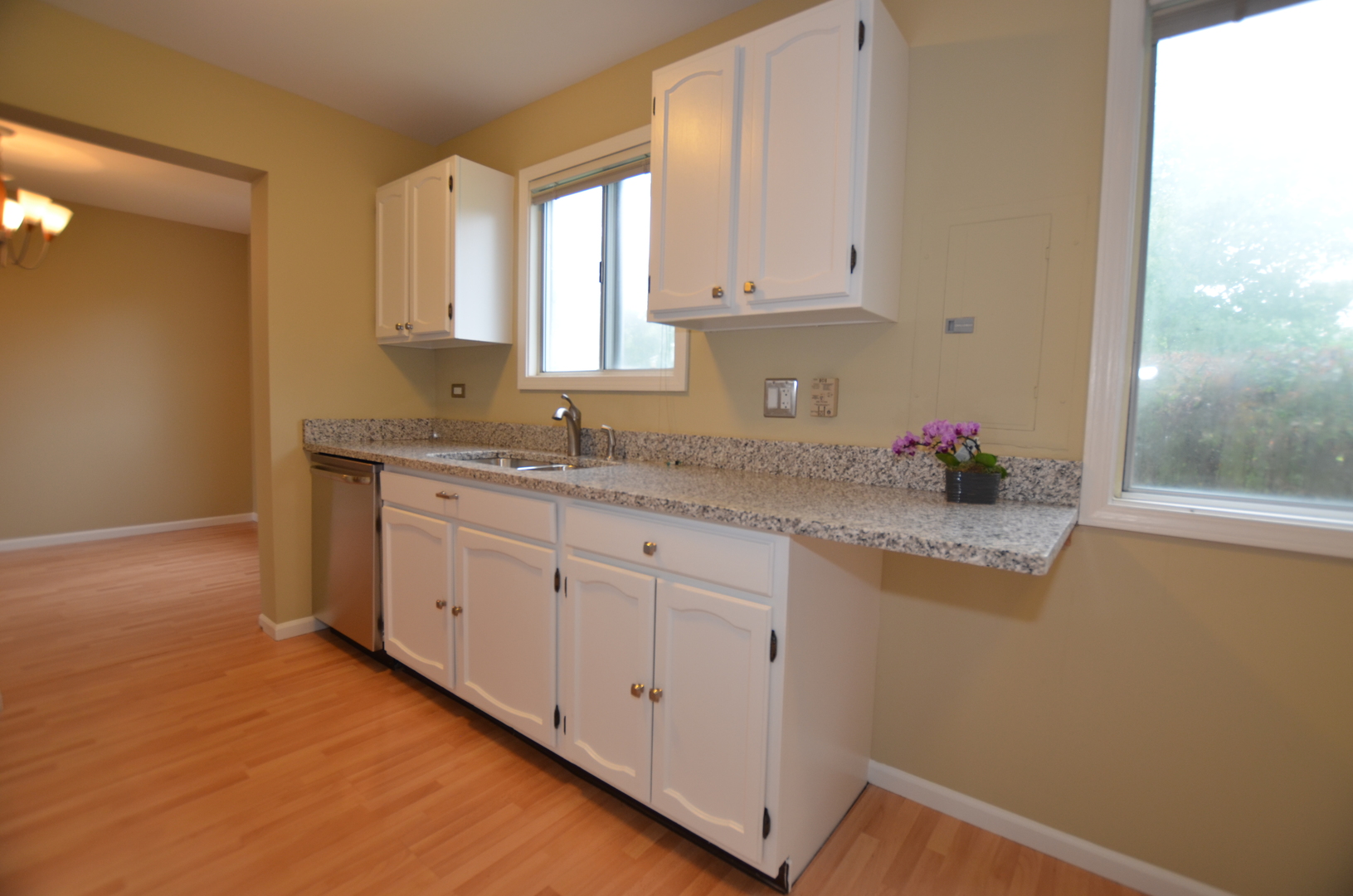 387 Amy Court, Naperville, IL 60565