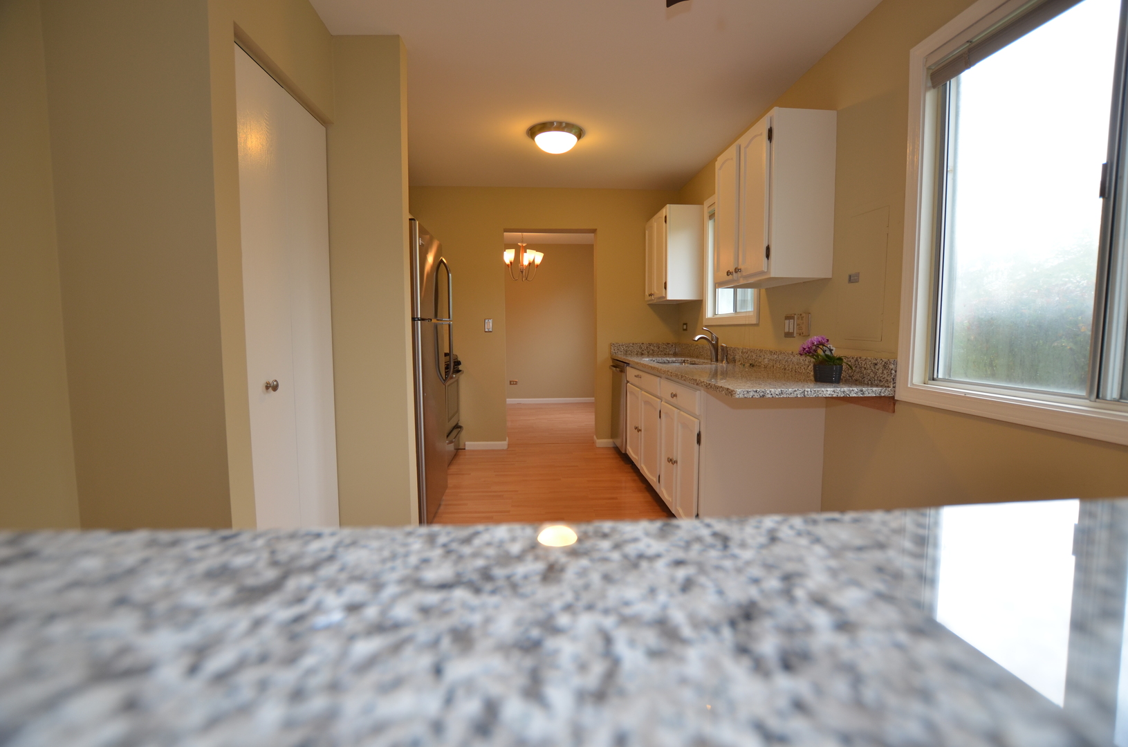 387 Amy Court, Naperville, IL 60565