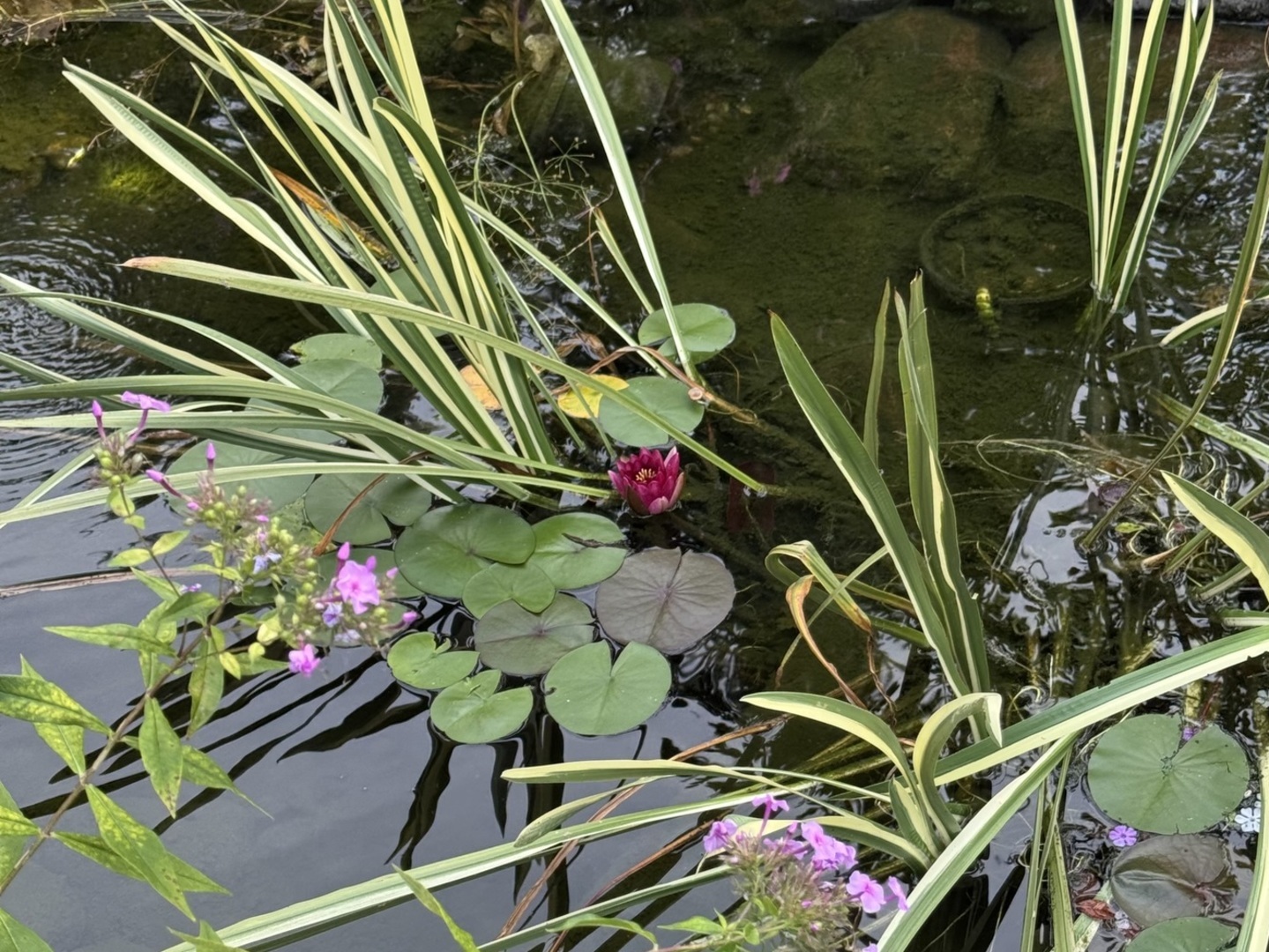 5304 Floralwood Court, Plainfield, IL 60586