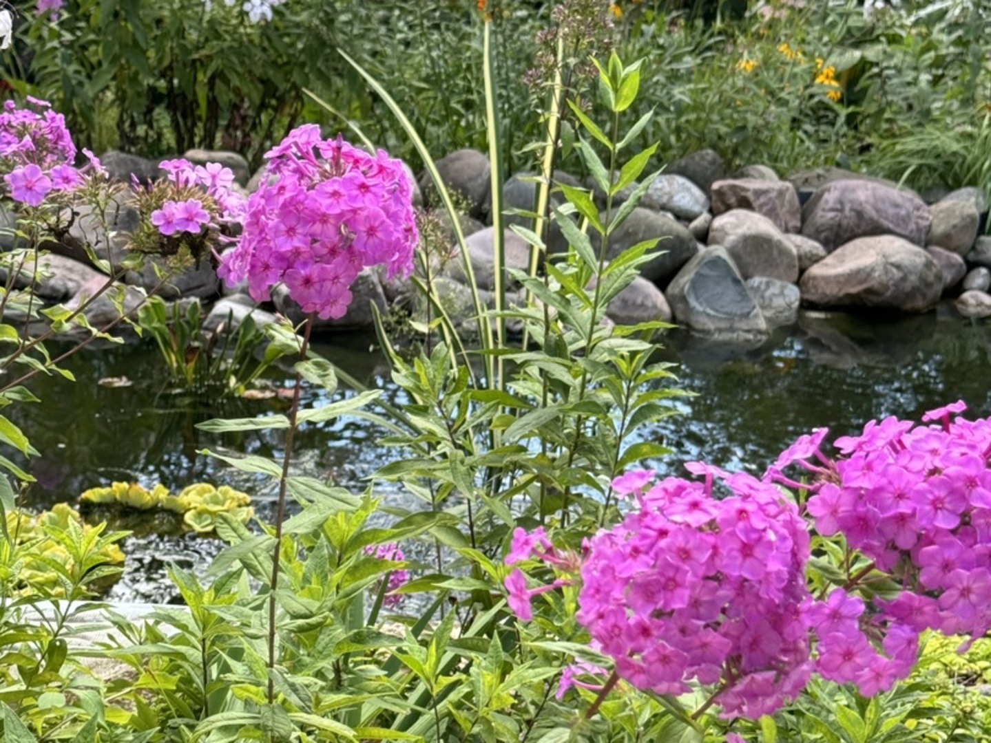 5304 Floralwood Court, Plainfield, IL 60586