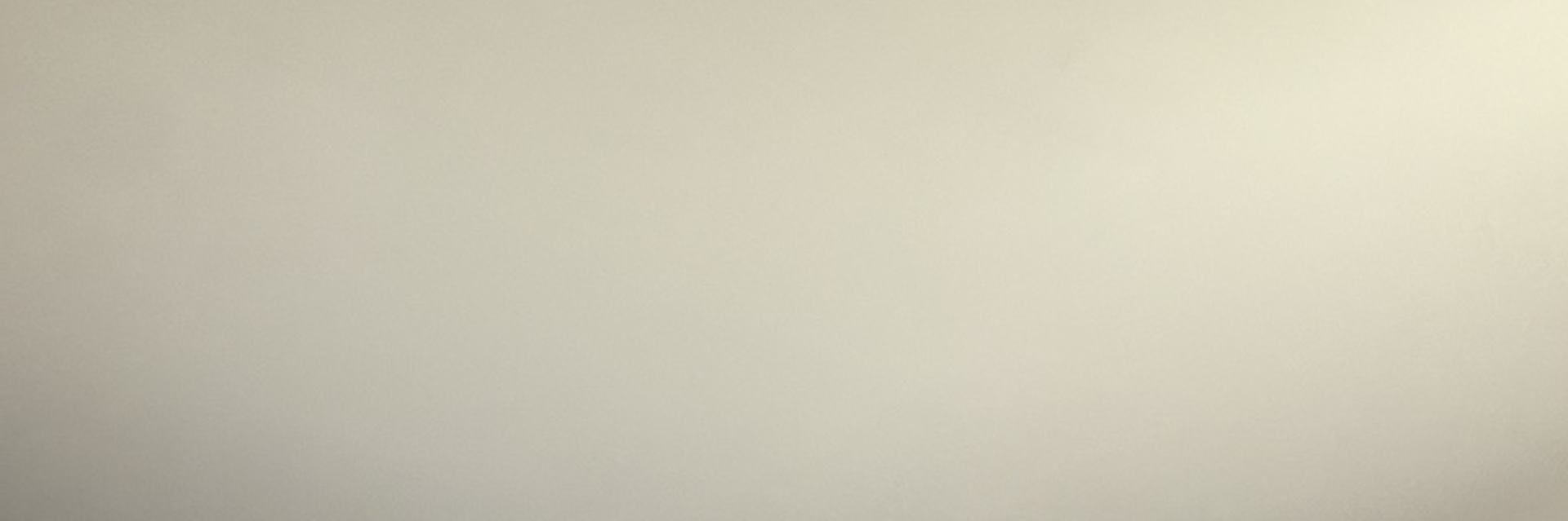 9104 Lincoln Court #203, Orland Park, IL 60462