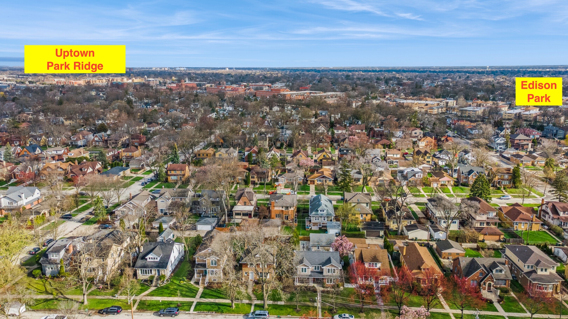 916 Cleveland Avenue, Park Ridge, IL 60068